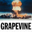 Cover Grapevine