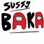 Cover Sussy Baka