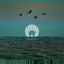 Cover Packard (Monkey Safari Remix)
