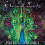 Cover Eternal Love