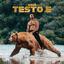 Cover Testo E