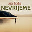 Cover Nevrijeme