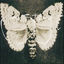 Cover Cinema Strange