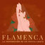 Cover Flamenca: La inspiración de un nuevo