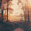 Cover Anything Endless Is Wonderous