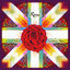 Cover Roses
