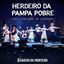 Cover Herdeiro da Pampa Pobre (Ao Vivo)