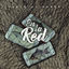 Cover En La Red