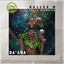 Cover Da'Ana