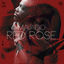Cover Red Rose (Produced by Di Genius)
