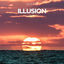 Cover Illusion