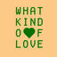 Cover What Kind Of Love