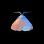 Cover Moth to the Flame