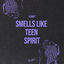 Cover Smells Like Teen Spirit