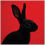 Cover RABBIT (Deluxe)