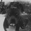 Cover Perro Es Perro
