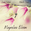 Cover Magnolias Bloom