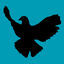 Cover A Life Without Fear