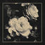 Cover You Eclipsed by Me