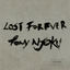 Cover Lost Forever