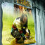 Cover Zoukako (Collector Edition)