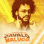 Cover Cavalo Maluco (Remix)
