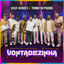 Cover Vontadezinha (Ao Vivo)