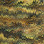 Cover honey