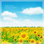 Cover A Bright Piano New Age Cleanses Your Mood