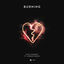 Cover Burning