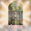 Cover Holy Water