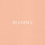 Cover BLOMMA