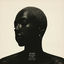 Cover Devotion & The Black Divine