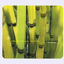 Cover activate
