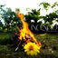 Cover Incendio