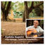 Cover Chico Buarque - Primeiras Composições