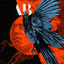 Cover Silent Divide