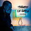 Cover Toques de Queda