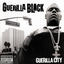 Cover Guerilla City