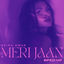 Cover Meri Jaan (Sped Up)