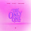 Cover The Only One