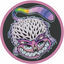 Cover Kinky Tail EP