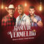 Cover Dama De Vermelho