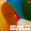 Cover Break into Acid EP