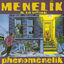 Cover Phenomenelik