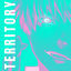 Cover Territory