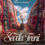 Cover Sevda Treni