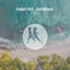 Cover Trees