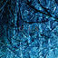 Cover Nah Und Fern