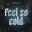 Cover Feel so Cold